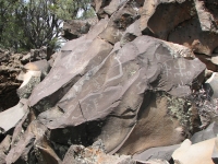 Nampaweap Petroglyphs